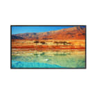 DAHUA TECHNOLOGY - DUHM-0014382 LM65-S400: MONITOR LED DA 64.5 4K UHD F