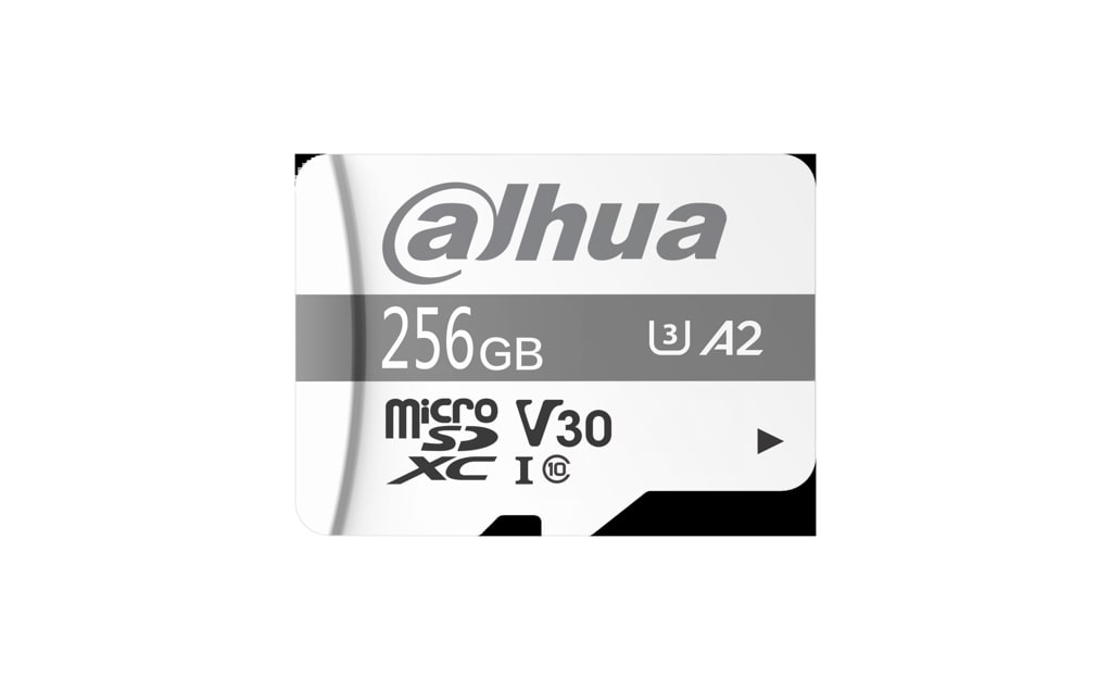 DAHUA TECHNOLOGY - DUHM-0015841 TF-P100-256G: MICRO SD CARD DA 256 GB SP