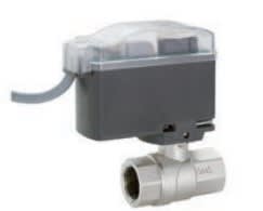 F.I.V. - FVR8946R106 MOTORV8 1 2VIE FF