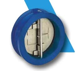 WATTS INDUSTRIES ITA - WAT149B3000 VALV.RITEGNO 895 DN50