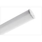 IDEALLUX - IDXINXPO40N INNOVA 1200 O 38 5W 6000LM 4000K CAE