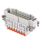 ILME - ILMJSHM 16 N FR.SP.16P17-32 SQUICH JEI