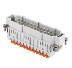 ILME - ILMJSHM 24 N FR.SP.24P25-48 SQUICH JEI