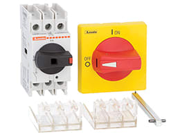 LOVATO - LOVGA063SAK30063 SEZ. 3P 63A+ASTA 300MM+MANIG.+COPRITER.