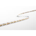 CENTURY ITALIA SRL - CUYAC95-0714427 STRIP LED ACCENTO PRO