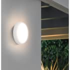 CENTURY ITALIA SRL - CUYPRKP-163200 PLAFONIERA LED PRATIKA PRO DIAM. 32