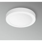 CENTURY ITALIA SRL - CUYPTP-243030 PANNELLO LED P-TONDO PLAF. DIAM. 300 MM