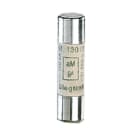 LEGRAND - LEG012010 FUSIBILI CILIND.-AM 8,5X31,5-10A S/PERC.