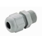 LEGRAND - LEG384379 PSP-PRESSACAVO PLASTICO M12 D4-6 R7035