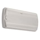 LINERGY SRL - LENSD1105 STEP LED 450LM 1H SE IP40 INHIBIT