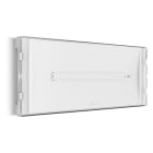 LINERGY SRL - LENSI1203 SELFIE 300LM 2H SE/SA IP42 REST MODE