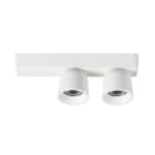 LINEA LIGHT (ILED) - ILD8748 MINION SPOT 2L 12W 40 B.CO RAG +GH