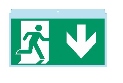 INTERNAZIONALE SRL - LIN5091 PITTOGRAMMA SERIE HP320 FRECCIA IN BASSO