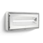 LINERGY SRL - LENCE2901 CRISTAL E. 1620LM 1/1,5/2/3H SE IP65 CON