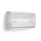 LINERGY SRL - LENPR2901 PRODIGY 120LM 1/1,5/2/3H SE IP42 CONNECT