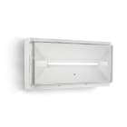 LINERGY SRL - LENPX1701 PRODIGY XL 560LM 2H SE/SA IP42 MOVIE