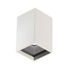 L&L LUCE E LIGHT - L&LBC100015LB0 BITPOPC1.0HC 6.5W 24VDC 3000K 42 B