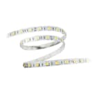 LAMPO LIGHTING TECHN - LMOREEL245050IP64BC STRIPLED 5050 MT.5 3000K IP64 24V 14,4W