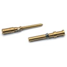 LAPP ITALIA SRL - LPP13162200 EPIC H-D SCEM AG 0.75-1.0 MALE CONTACT