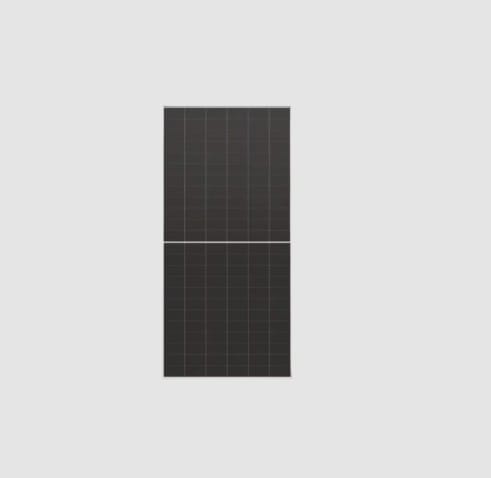 LONGI TRADING BV - Y22LR8-66HVD-650M MODULO LONGI BIFACCIALE HI-MO X10 650W