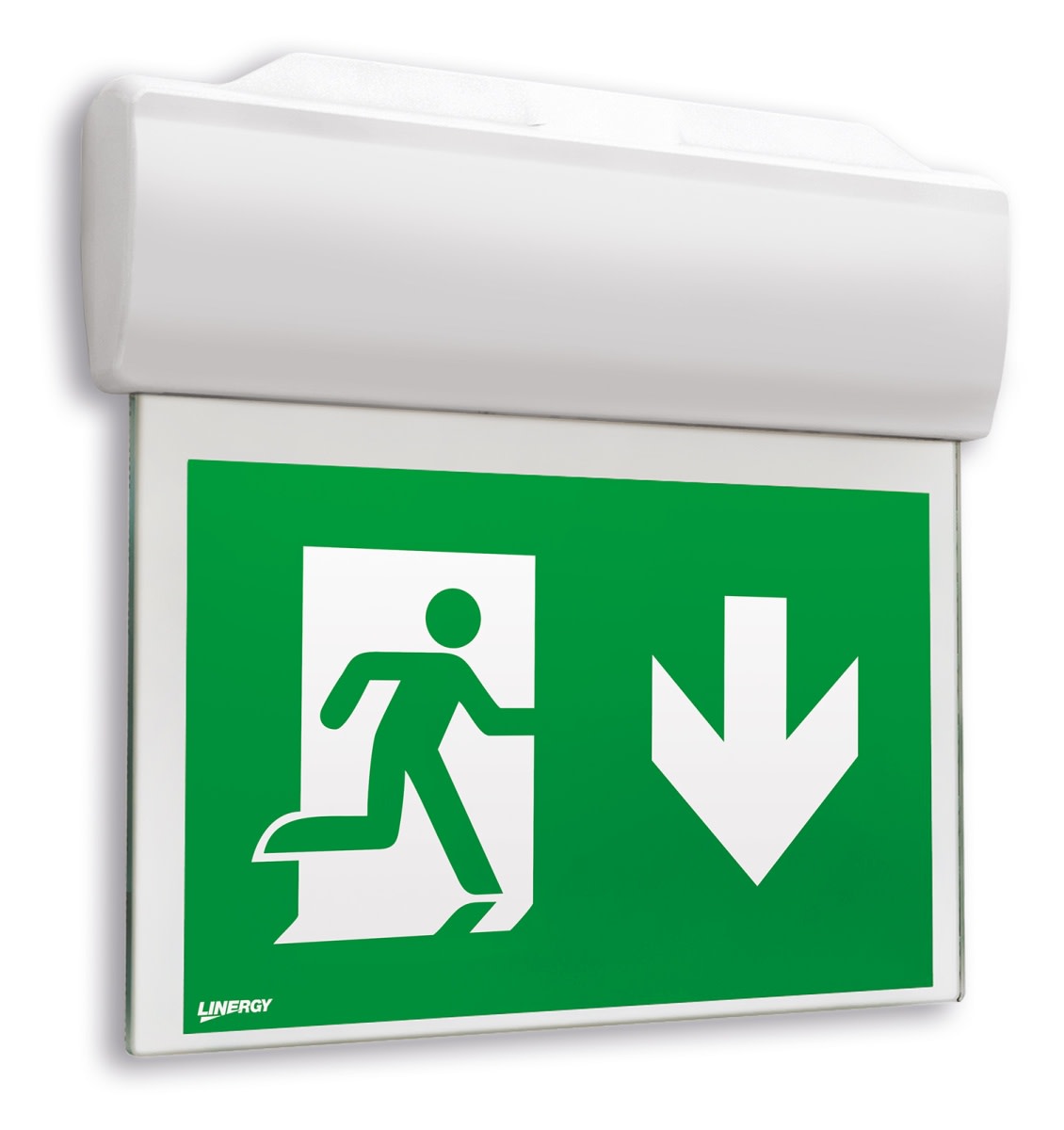 LINERGY SRL - LENLX1601 LEXIT 32M 1H SA IP65 DALI