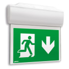 LINERGY SRL - LENLX1601 LEXIT 32M 1H SA IP65 DALI