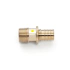 REHAU SPA - RE413130601001 TERMINALE D UNIONE 40-M1 1/4 RAUT. LX +G