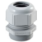 LAPP ITALIA SRL - LPP53110146 SKINTOP ST-M 12X1.5 RAL 7001 SGY 10ST