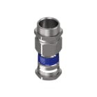 TEAFLEX - TEAMRGP366 M.G. RAPIDO D.36 PG36