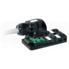 MURRELEKTRONIK SRL - MUE27074 MVP12 4XM12 5 POLI A CABLARE