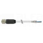 MURRELEKTRONIK SRL - MUE7000171212944000 M12 FEM. 0? SCHERMATO CON CAVO