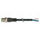 MURRELEKTRONIK SRL - MUE7000120416351000 M12 MAS. 0? 5 POLI CON CAVO