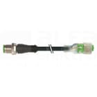 MURRELEKTRONIK SRL - MUE7000403116241000 M12 MAS. 0? / M12 FEM. 0? LED