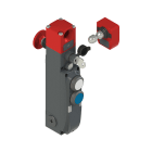 PIZZATO ELETTRICA - PZZNG 2D6D417F-F31 INTERRUTTORE DI SICUREZZA CON BLOCCO SER