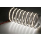NOBILE ITALIA - NOB80300/90/C STRIP 5M 14W/M 238LED/M 3K IP20 24V