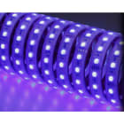 NOBILE ITALIA - NOB80331/RGB STRIP 5M 14W/M 84LED/M RGB IP67 24V