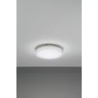 NOBILE ITALIA - NOBPLDR22 PLAFONIERA 15W BIANCO DINAMICO 240V IP20