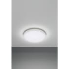 NOBILE ITALIA - NOBPLDR33 PLAFONIERA 24W BIANCO DINAMICO 240V IP20