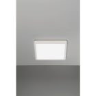 NOBILE ITALIA - NOBPLIS33/3K PLAFONIERA 24W 3K 240V IP65 BI