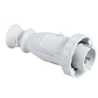 SCHNEIDER ELECTRIC - SNR82367 SPINA MOB.IP67 2P 32A 48V 50HZ