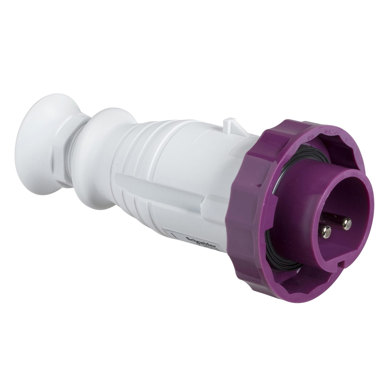 SCHNEIDER ELECTRIC - SNR82351 Spina mobile BTS IP67 16A 24V 50Hz 2P