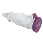 SCHNEIDER ELECTRIC - SNR82401 Presa mobile BTS IP44 16A 24V 50Hz 2P