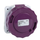 SCHNEIDER ELECTRIC - SNR82965 PRESA INC.IP67 2P 32A 24V 50HZ