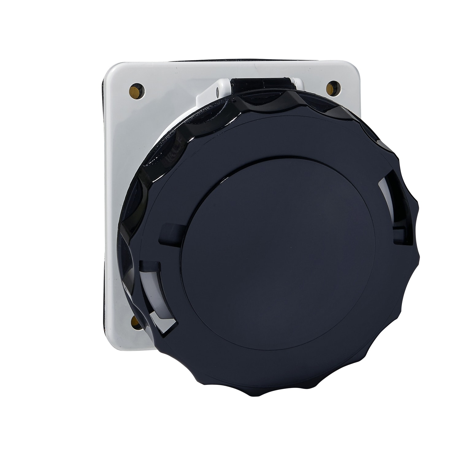 SCHNEIDER ELECTRIC - SNR81285 PRESA INC.INCL.IP67 3PT 63A 500V