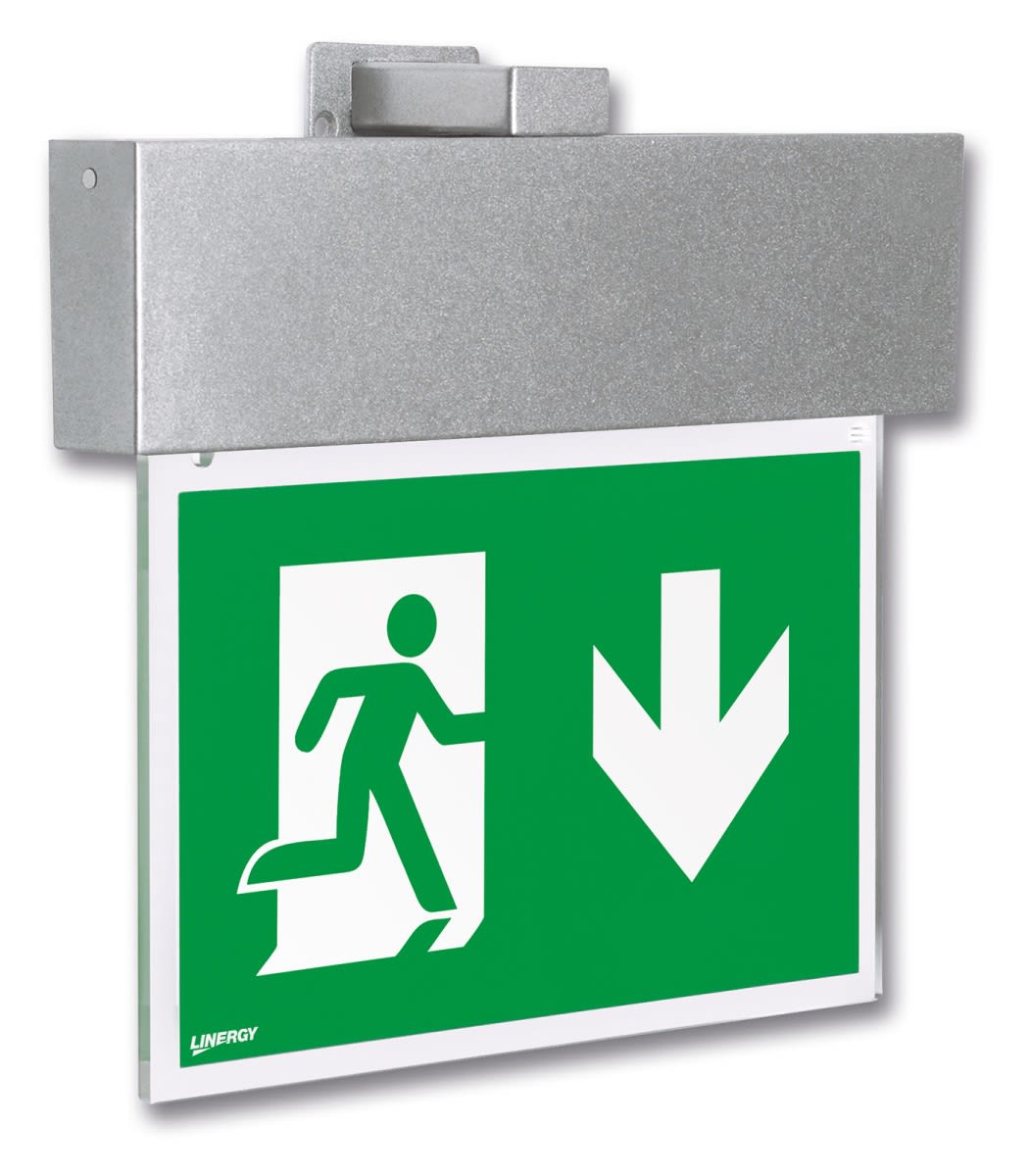 LINERGY SRL - LENOR1601 ORION 32M GRIGIO 1H SA IP40 DALI