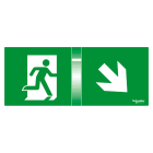 SCHNEIDER ELECTRIC - SNROVA53165 4 Schermi 45 gradi per Kit Segnalalazione Exiway Smartled 24m, Accessorio di Segnalazione