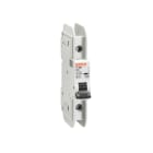 LOVATO - LOVP1MBUH1PC01 MCB 1P C1 277V 10KA UL489