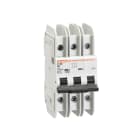 LOVATO - LOVP1MBUH3PC10 MCB 3P C10 480Y/277V 10KA UL489