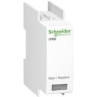 SCHNEIDER ELECTRIC - SNRA9L65122 CARTUCCIA FASE IPRD65R X IT