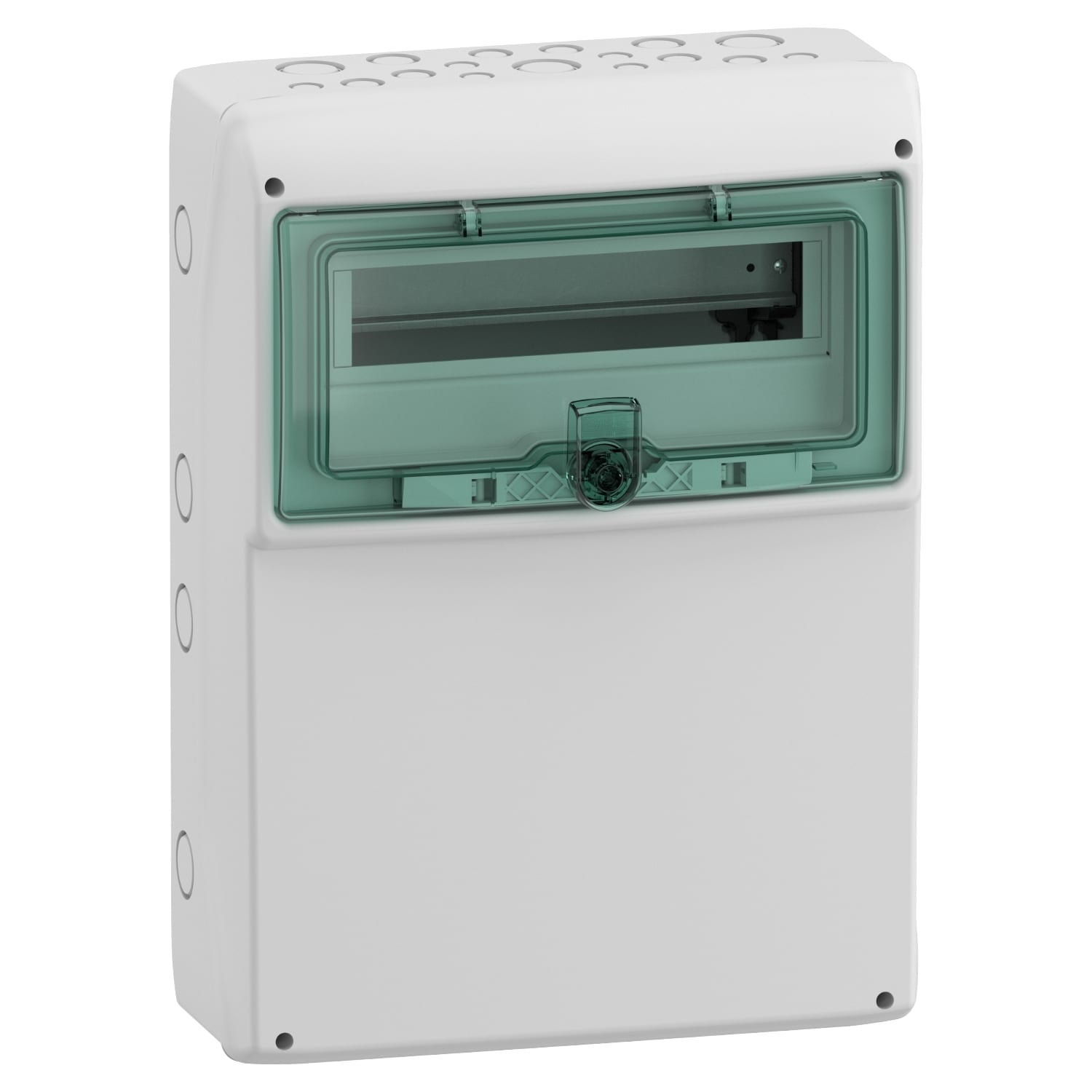 SCHNEIDER ELECTRIC - SNR10377 Quadro Mureva Enclosures IP65 12+1 moduli con pannello universale